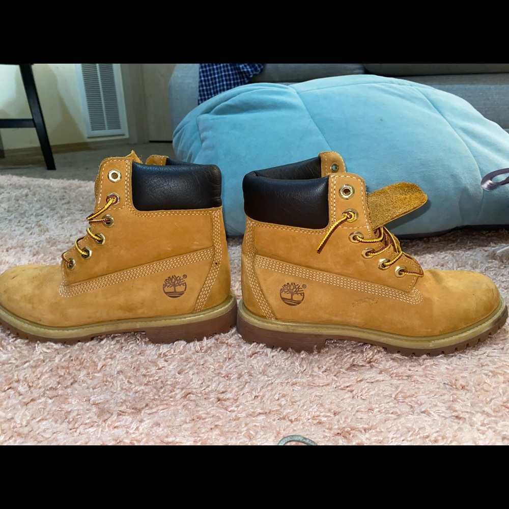 Timberlands - Picture 5 of 8